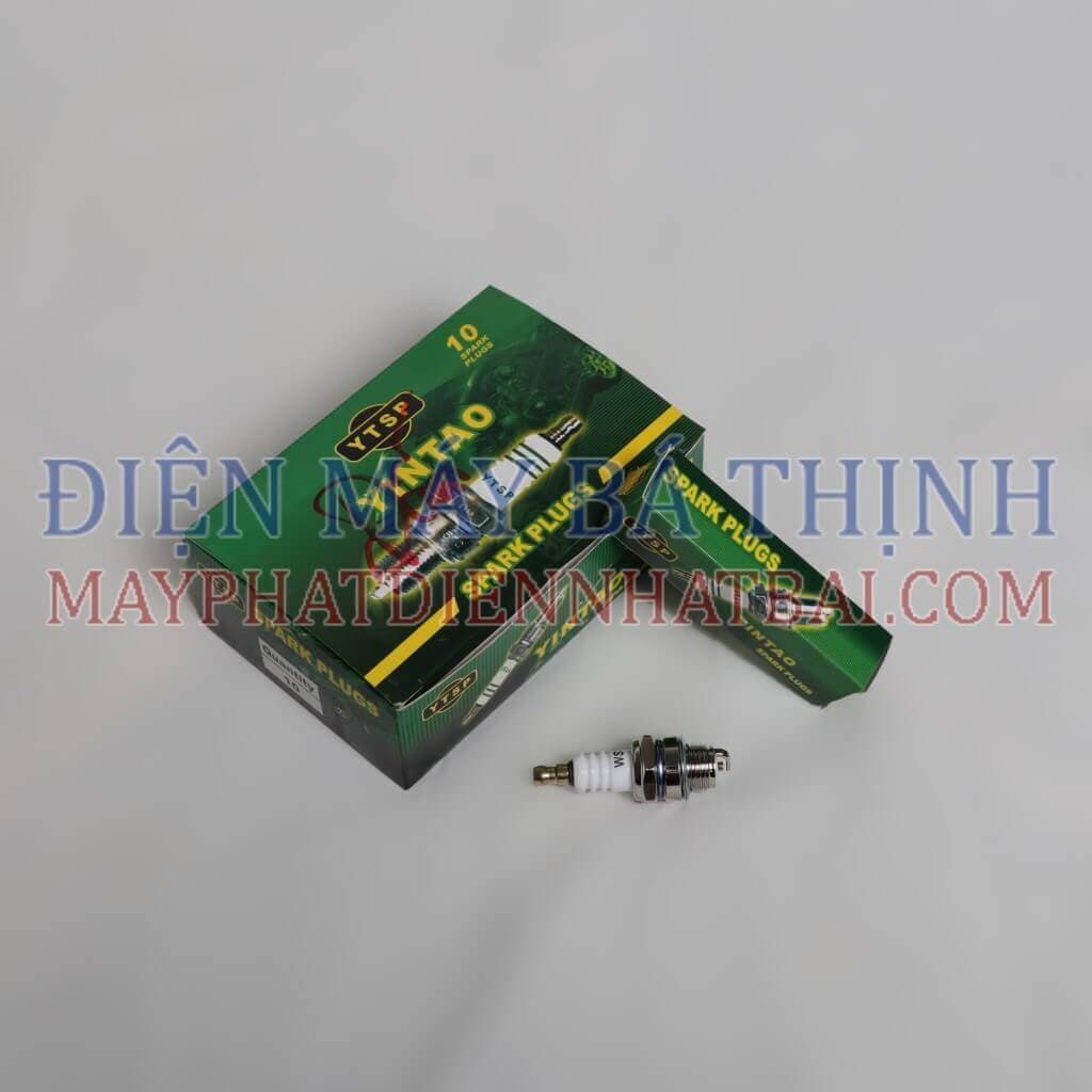 Bugi máy bơm nước